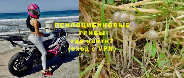 хмурый Липки