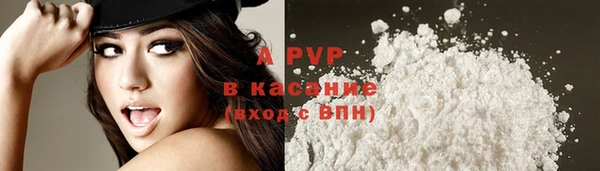 хмурый Липки
