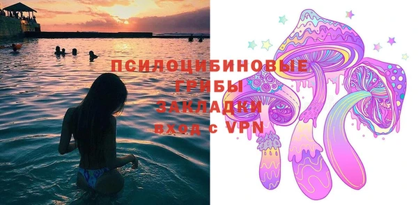 хмурый Липки