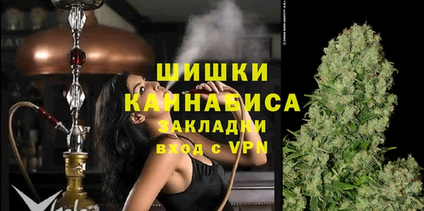 хмурый Липки