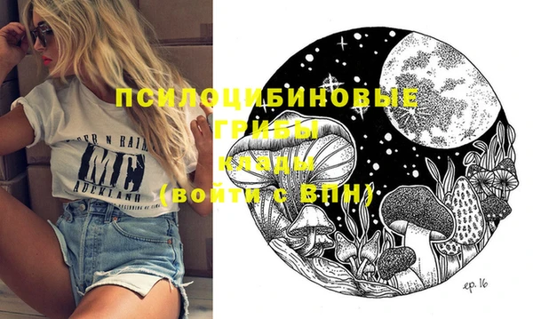 амф Ладушкин
